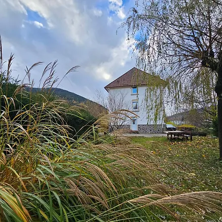 Maison Le Beauregard Bussang