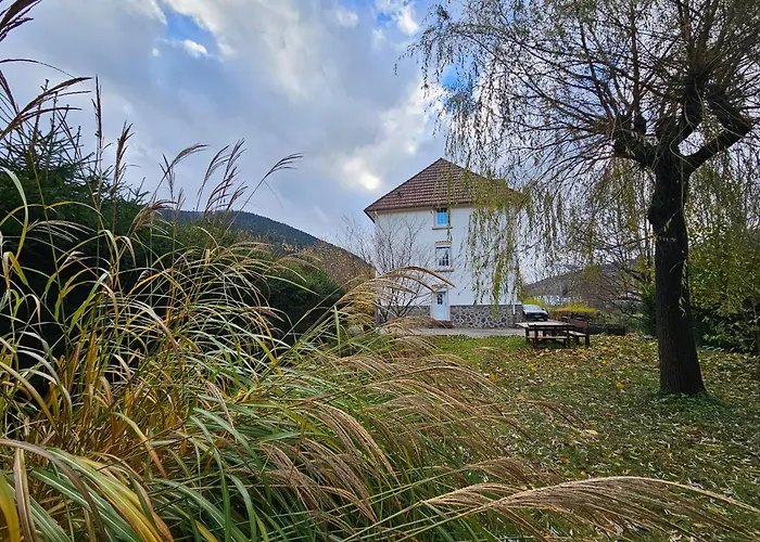 Maison Le Beauregard 比桑